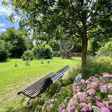 D'hotes De Charme Jolie Futaie En Foret De Troncais Bed & Breakfast 3*