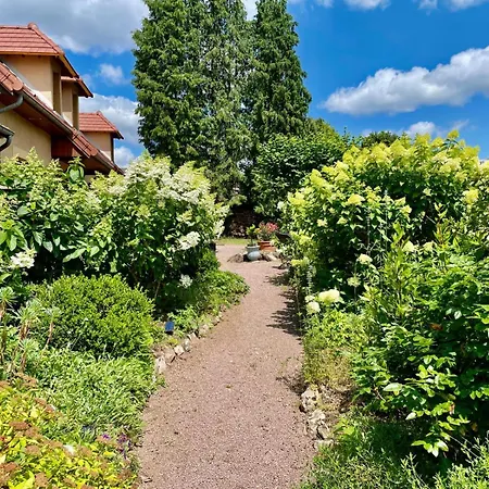 Bed & Breakfast D'hotes De Charme Jolie Futaie En Foret De Troncais