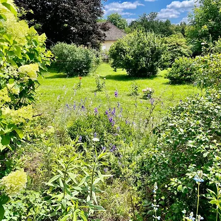 D'hotes De Charme Jolie Futaie En Foret De Troncais Bed & Breakfast 3*