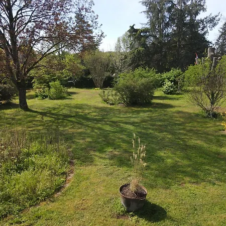 Bed & Breakfast D'hotes De Charme Jolie Futaie En Foret De Troncais