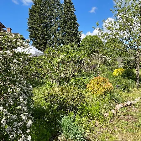 D'hotes De Charme Jolie Futaie En Foret De Troncais 3*