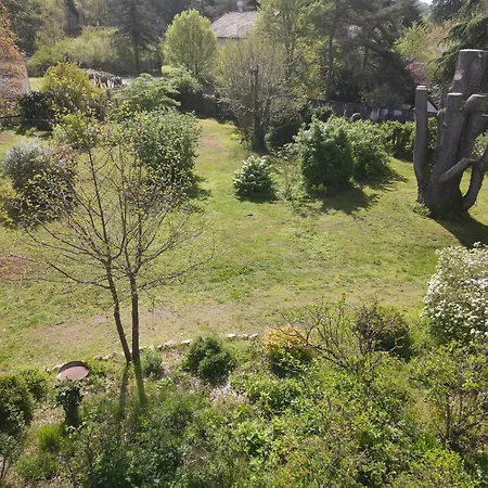 Bed & Breakfast D'hotes De Charme Jolie Futaie En Foret De Troncais