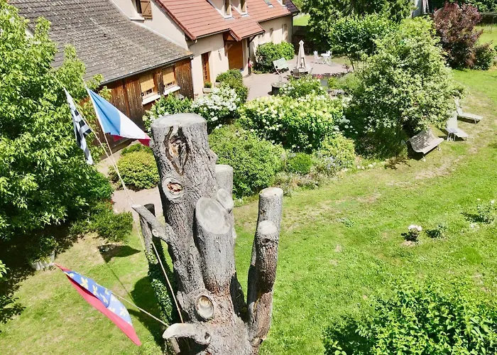 D'hotes De Charme Jolie Futaie En Foret De Troncais