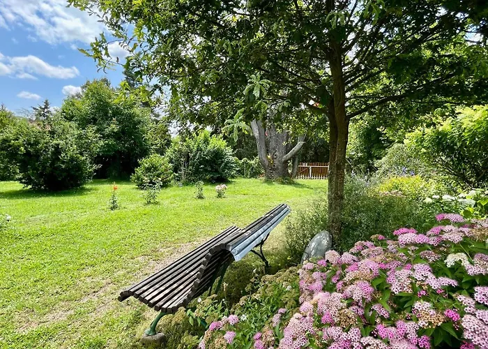 D'hotes De Charme Jolie Futaie En Foret De Troncais Nocleg ze śniadaniem 3*