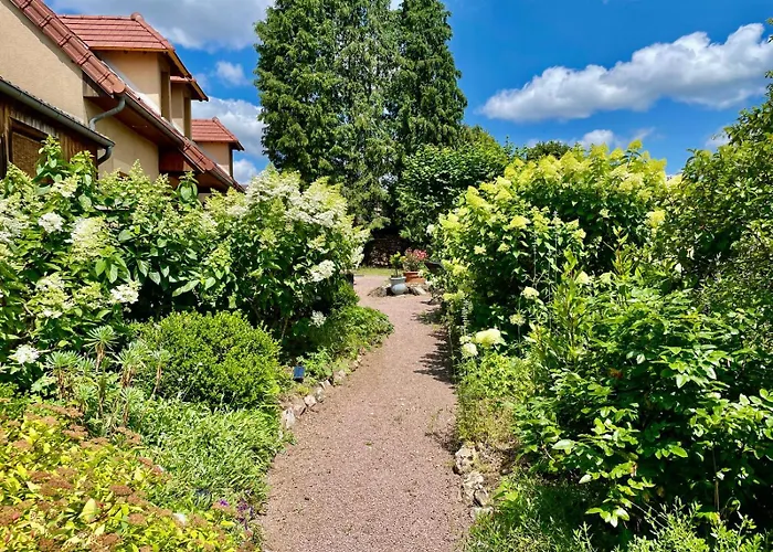 Nocleg ze śniadaniem D'hotes De Charme Jolie Futaie En Foret De Troncais