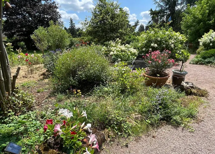 D'hotes De Charme Jolie Futaie En Foret De Troncais Nocleg ze śniadaniem Meaulne