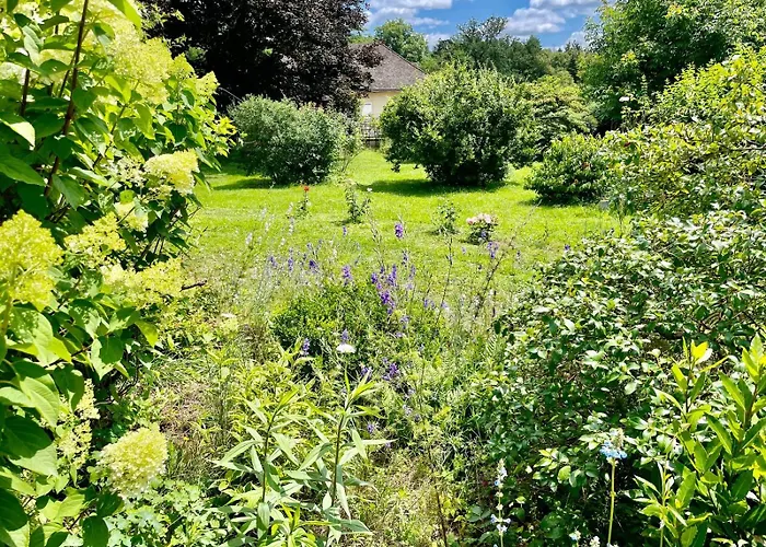 D'hotes De Charme Jolie Futaie En Foret De Troncais Nocleg ze śniadaniem 3*