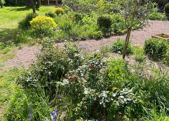 Nocleg ze śniadaniem D'hotes De Charme Jolie Futaie En Foret De Troncais 3*