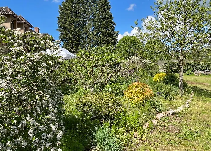 D'hotes De Charme Jolie Futaie En Foret De Troncais 3*