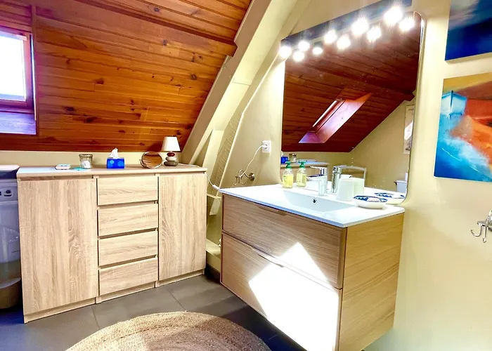 D'hotes De Charme Jolie Futaie En Foret De Troncais Meaulne